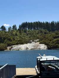 Nature’s Canvas: Exploring New Zealand’s Living Landscapes 