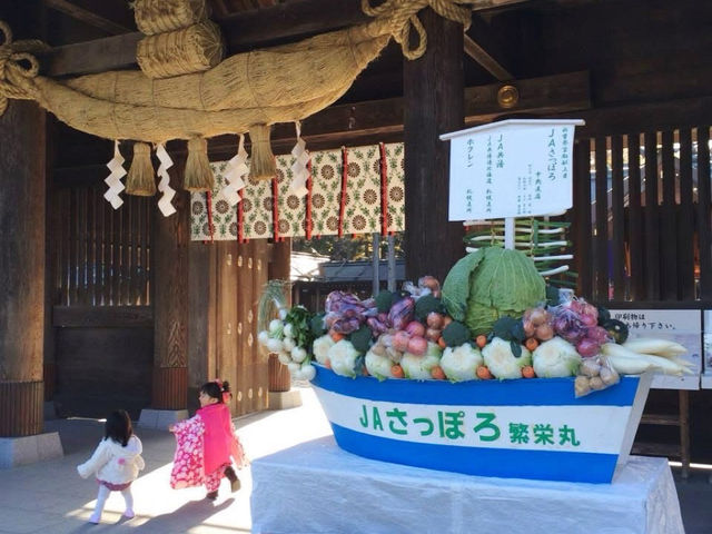 在上百年的北海道神宮體驗七五三祭