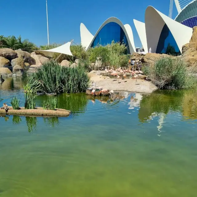 BIOPARC Valencia – An Immersive African Wilderness in Spain