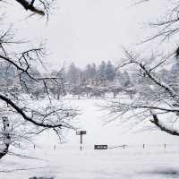 ปราสาทนกกระเรียน ❄️ Tsuruga Castle