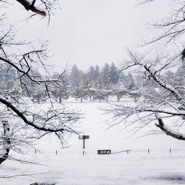 ปราสาทนกกระเรียน ❄️ Tsuruga Castle