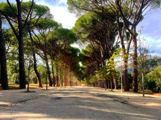 เดินเล่นชมสวนหลวงของสเปน 🌳