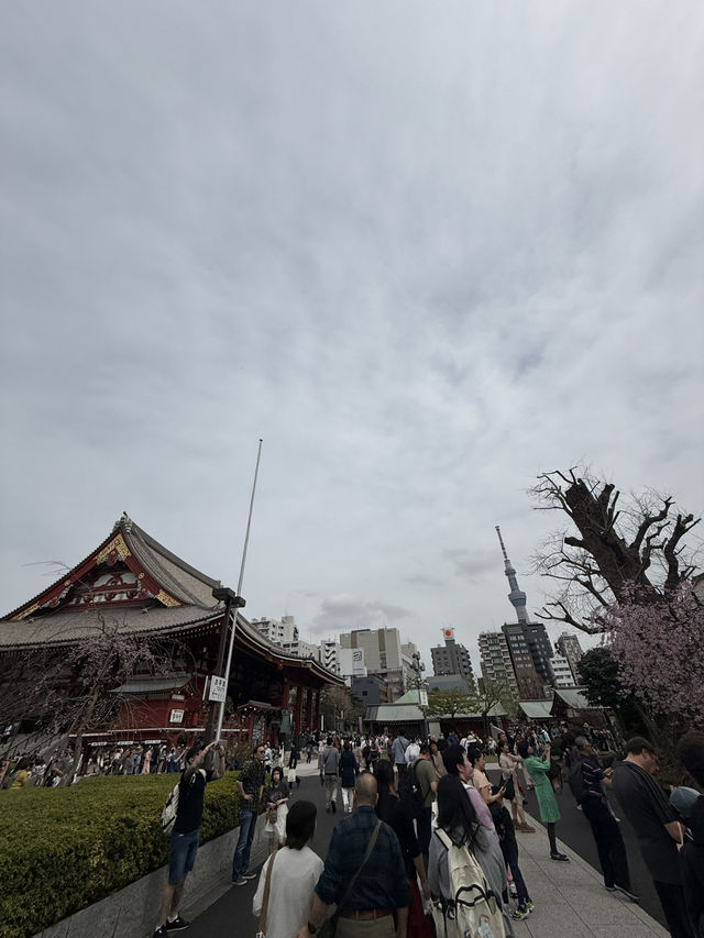 2025.03.28 櫻花季東京獨旅五天四夜行程 p6 第四天行程大公開(3.淺草) 2025.03.28 櫻花季東京獨旅五天四夜行程 p6 第四天行程大公開(3.淺草)