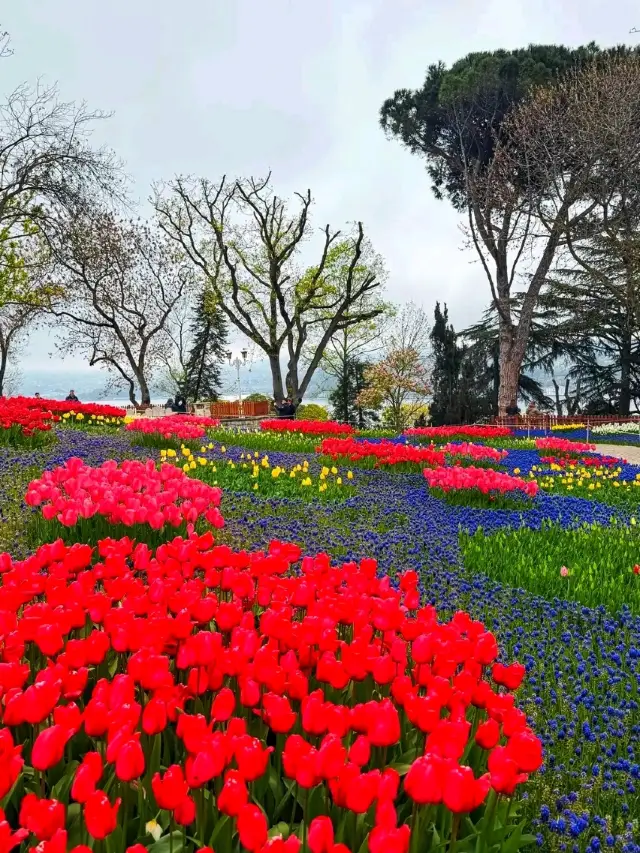 🌸 Emirgan Park – Istanbul’s Garden of Colors