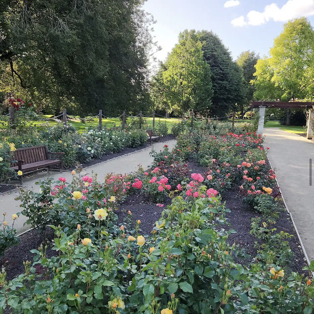 Dunedin Botanic Garden