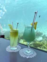 🐠 Weekend Bliss at Hurawalhi, Maldives
