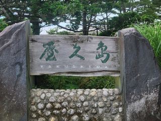 야쿠시마 여행을 계획한다면