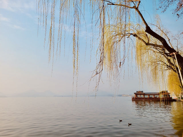 入秋的西湖:一湖秋水一城詩意 入秋的西湖:一湖秋水一城詩意