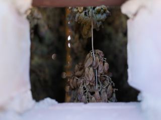 烏魯木齊週邊精彩的一日遊！