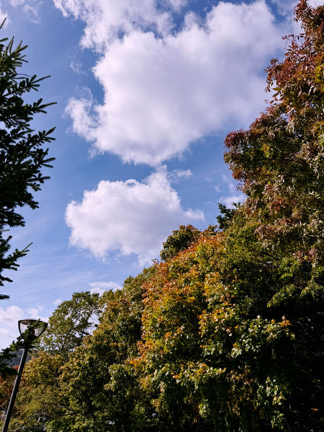 🍁🛶【紅葉湖畔小冒險】阿寒湖秋天親子賞楓 🍁🛶【紅葉湖畔小冒險】阿寒湖秋天親子賞楓