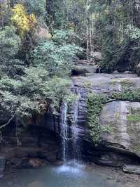 Budrim Forrest walk relaxin calm