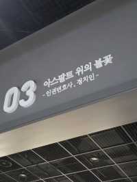 ⚖️ 정의를 향한 첫걸음, 노무현기념관의 ‘인권 변호사 시절’ 전시