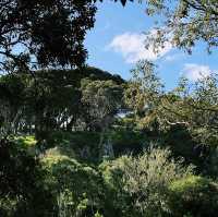 Caves House Hotel