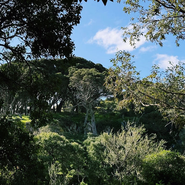 Caves House Hotel
