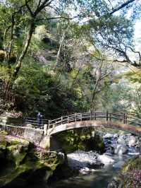 洞窟内の鳥居・・神秘的な雰囲気 願いを叶える為に積まれた石・・