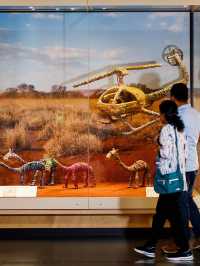 . WA Museum Boola Bardip