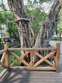 “Whispers of Water — The Charming Canals of Fuzhou”
