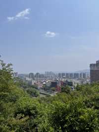 🌿 ตามหาความเรียบง่ายที่ Yuyao