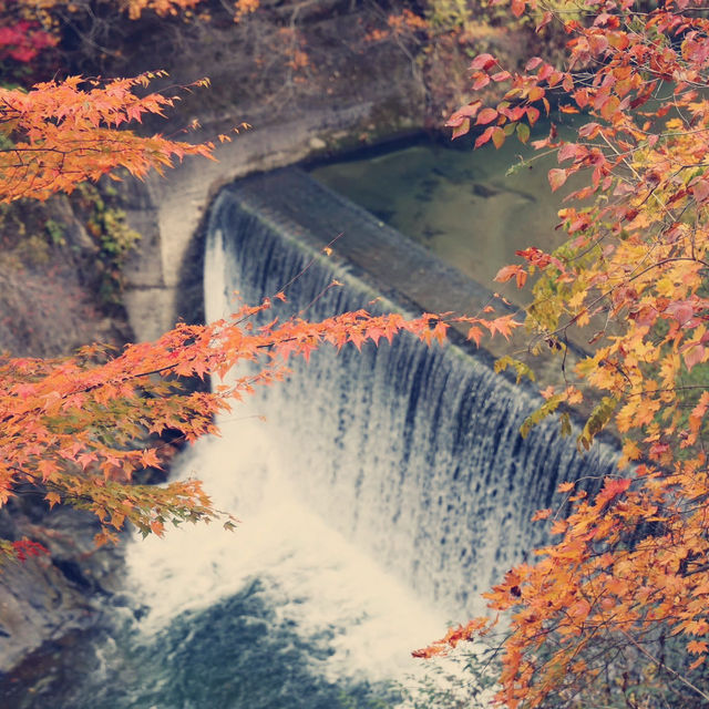 A Palette of Fire and Stone: My Solo Hike Through Naruko Gorge, Miyagi