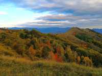 landscapes of the Apuseni Mountains