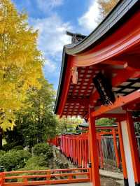 真っ赤な鳥居と黄色のイチョウのコントラストが絶景