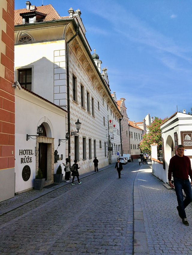 Bread and Meat Feast🍞 Krčma Šatlava, Český Krumlov 