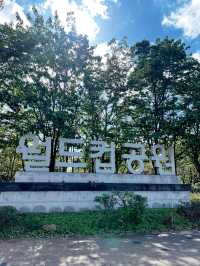 상암 월드컵 경기장과 공원🌵