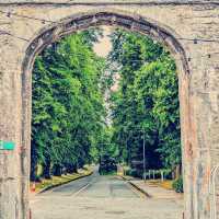 Whispers in White: A Solo Wander Through Bodelwyddan Castle
