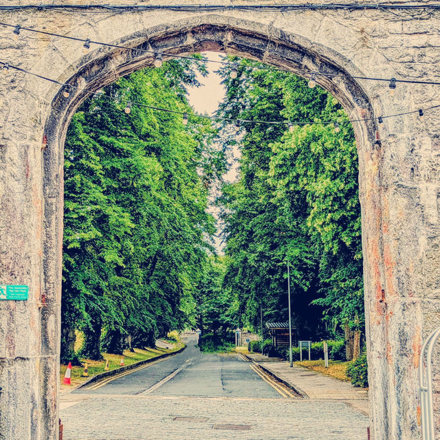 Whispers in White: A Solo Wander Through Bodelwyddan Castle