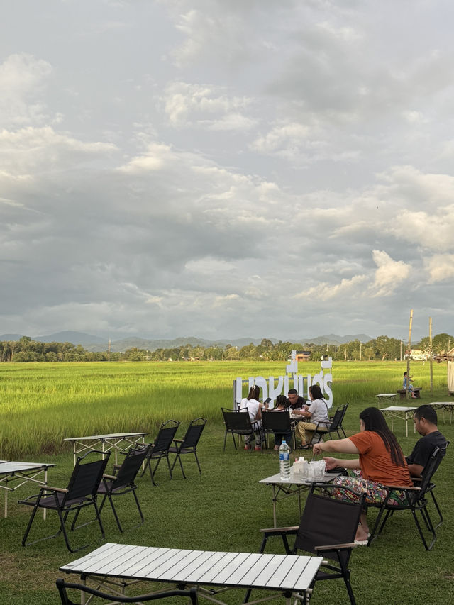 ทุ่งนาสีเขียวในฤดูฝน ☔️🌾 — นาหมื่นศรี ตรัง