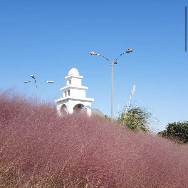 Jeju herb garden