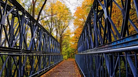 ハミルトンのChedoke Radial Trailで秋の紅葉を満喫 — traveler post in ハミルトン