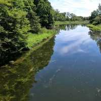 Chicago Botanic Garden – A Verdant Oasis of Beauty and Learning