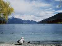 Walk and Meet the Beauty of Queenstown 🌸