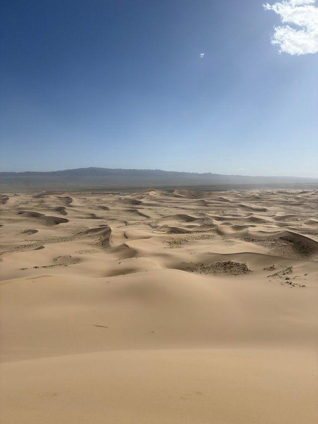 Khongoryn Els - Stunning and Unforgettable