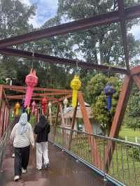 อุทยานแม่ตะไคร้ — สูดอากาศบริสุทธิ์พร้อมเพื่อนขนฟู