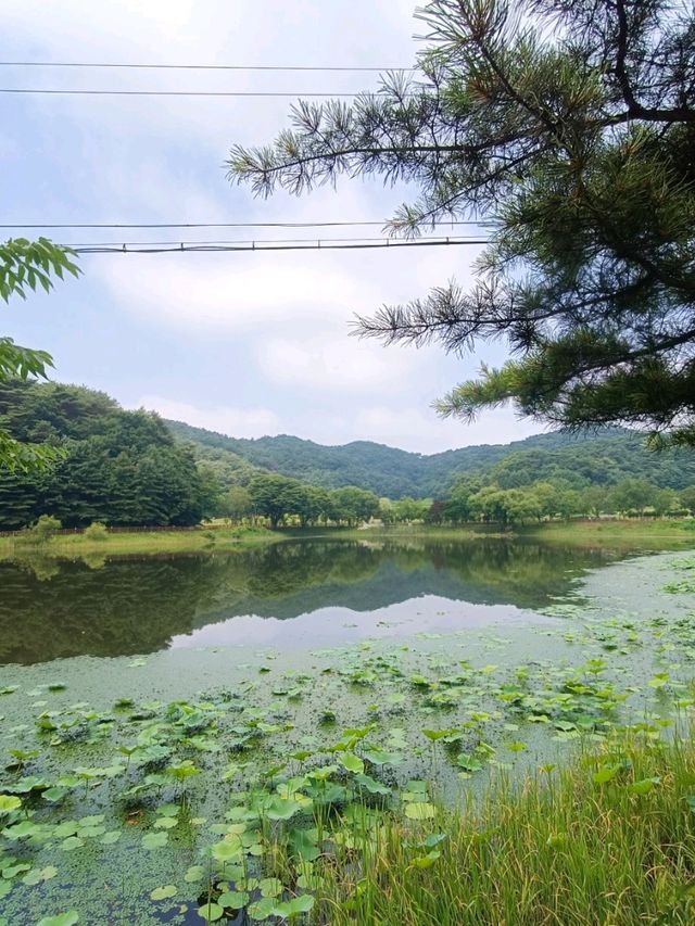 清州 (Cheongju) 歷史文化行 清州 (Cheongju) 歷史文化行