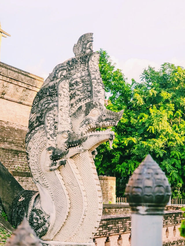 泰國🇹🇭清邁古城