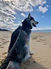 Best Friend Holiday Retreat：在 Tarra Valley 遇见最简单的快乐