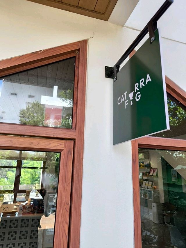 Caturra FŌG Café อ.วังสะพุง จ.เลย Caturra FŌG Café อ.วังสะพุง จ.เลย