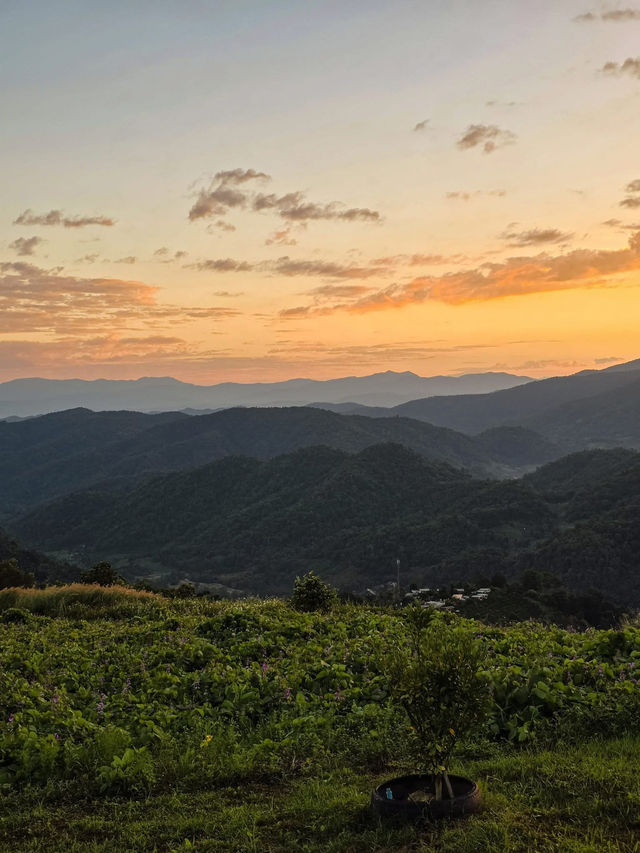 "ผาสามเส้าแคมป์" แม่แตง เชียงใหม่ "ผาสามเส้าแคมป์" แม่แตง เชียงใหม่