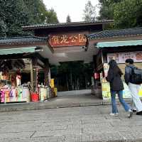  Zhangjiajie East Gate — A One-Day Journey Through Peaks, Clouds & Surprises