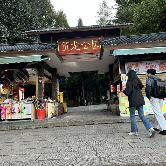  Zhangjiajie East Gate — A One-Day Journey Through Peaks, Clouds & Surprises