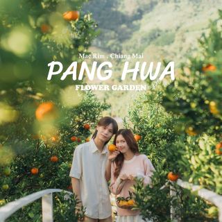 สวนดอกไม้และสวนส้มป้างฮวา