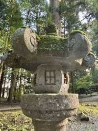 《巨杉守護的靜謐時光•北口本宮富士淺間神社》