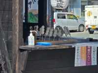 ​[구마모토 근교] 뚜벅이도 OK! 아소 산 버스 투어 & 아소 신사 맛집 '하나비시' 아카규동 먹방 🌋