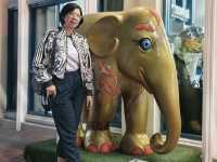 ถนนทรงวาด เสน่ห์เหนือกาลเวลา จากอดีตสู่ปัจจุบัน