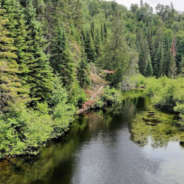 Algonquin Provincial Park – Ontario’s Legendary Wilderness Escape Algonquin Provincial Park – Ontario’s Legendary Wilderness Escape