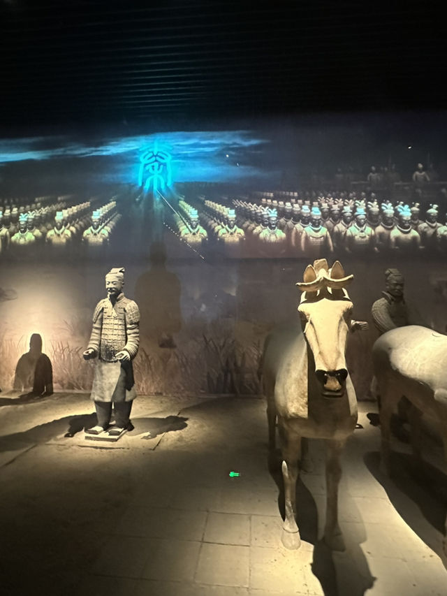 History Unearthed✨