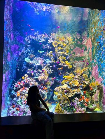 シンガポール】巨大水槽で優雅に泳ぐマンタたち💓涼しい館内で快適